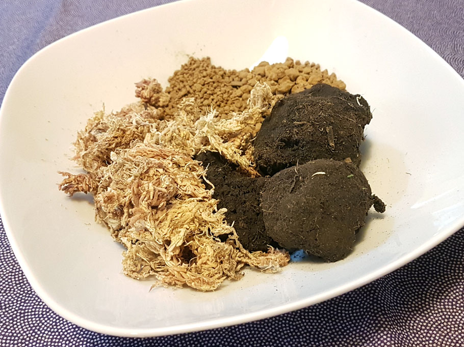 苔玉ー必要なもの