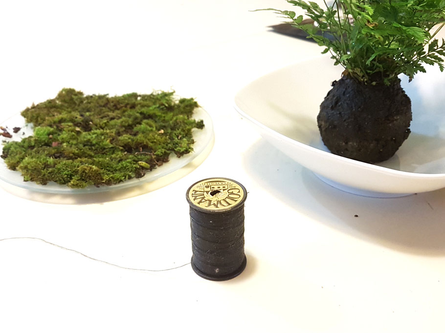 苔玉ー必要なもの