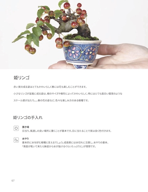 高等教範 盆栽の基本樹形 上下巻 中津千吉 高等教範 盆栽の基本樹形 上